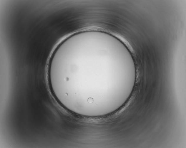 X0000100231086200805300720