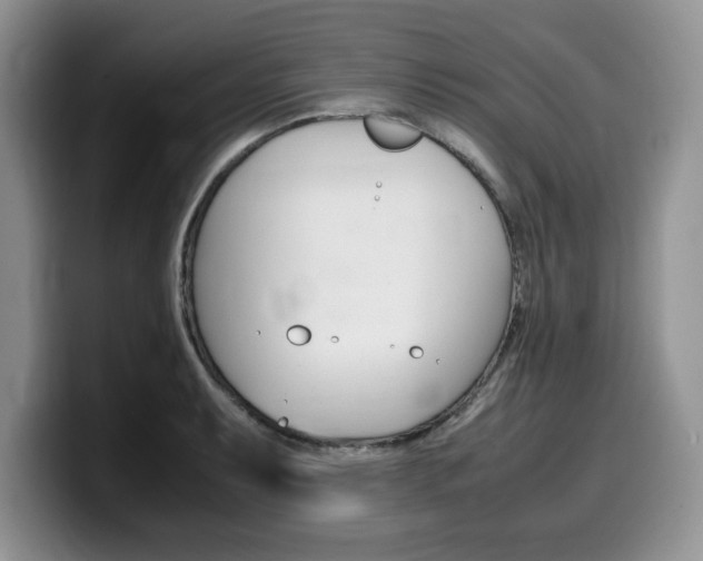X0000100231087200805300720