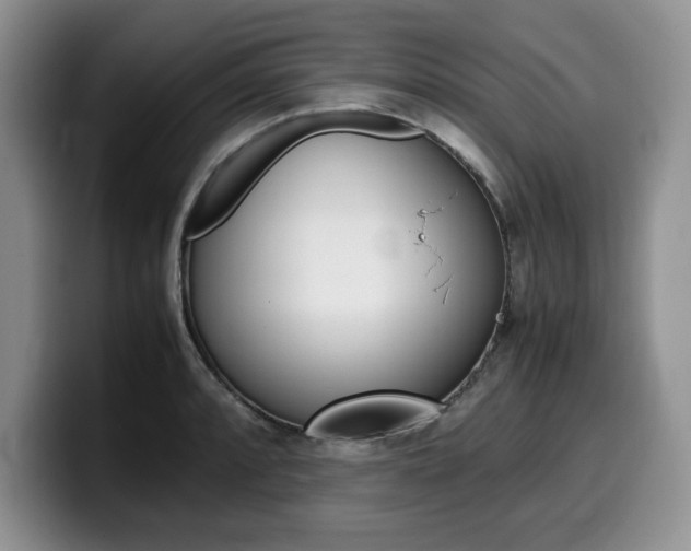 X0000100231088200805300720