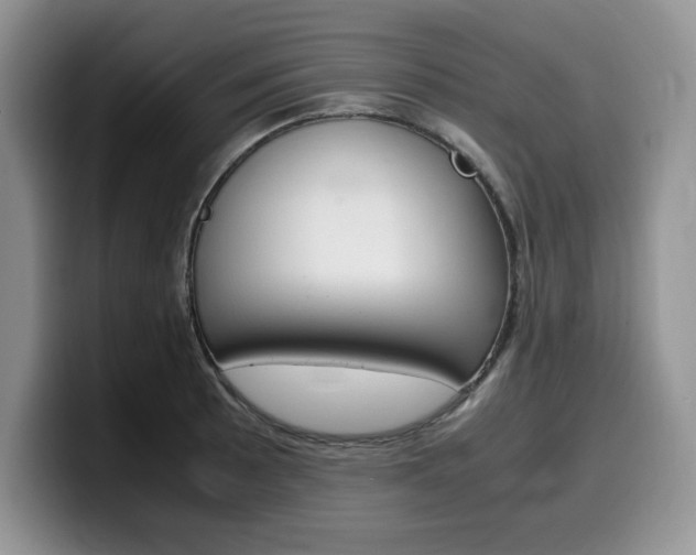 X0000100231089200805300720