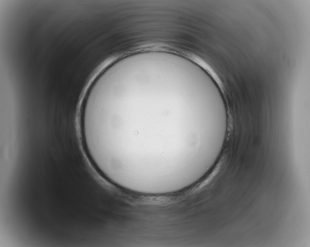 X0000100231090200805300720