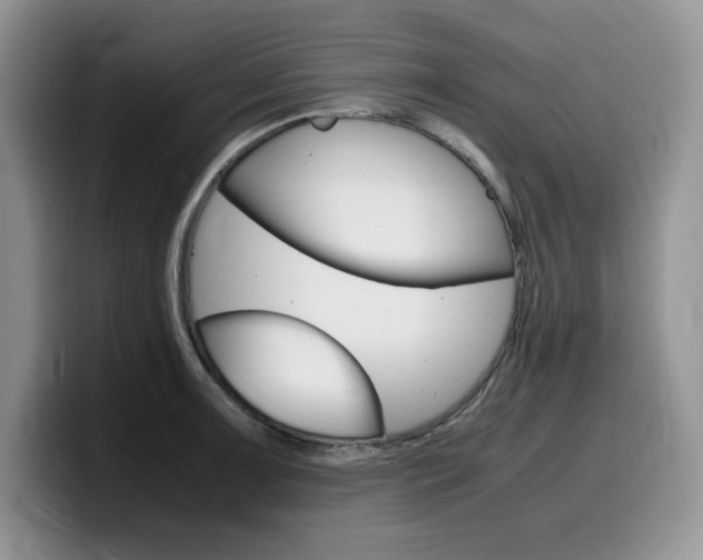 X0000100231091200805300720