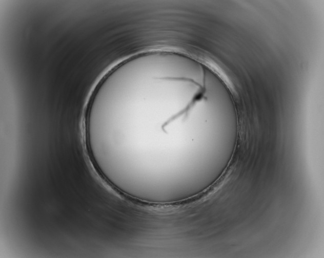 X0000100231092200805300720