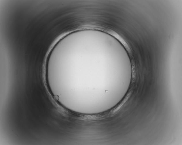 X0000100231094200805300720