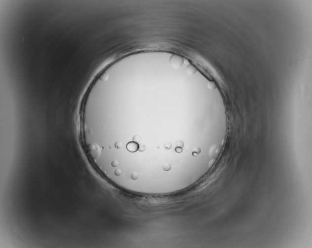 X0000100231095200805300720