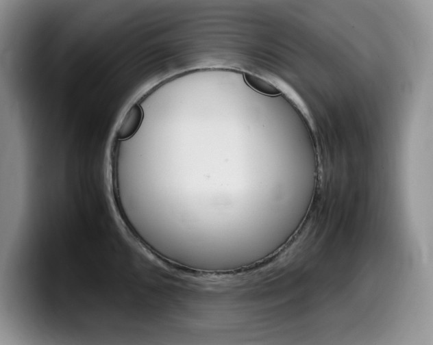 X0000100231096200805300720