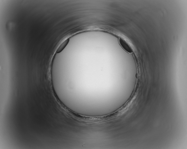 X0000100231097200805300720