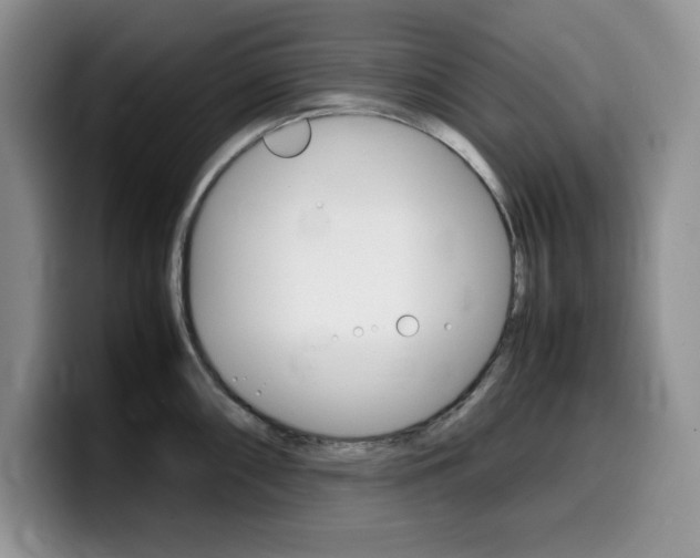 X0000100231098200805300720