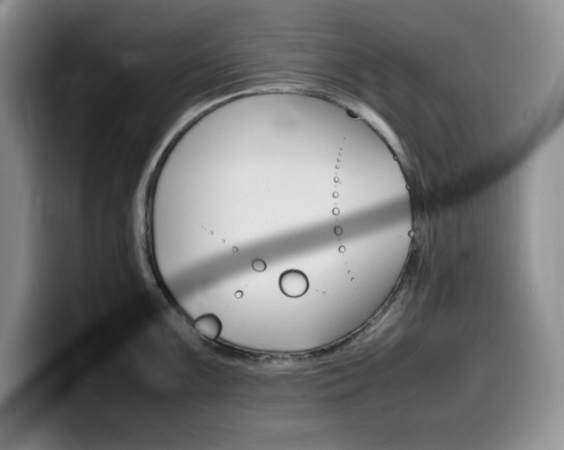 X0000100231099200805300720