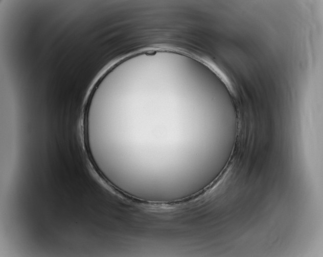 X0000100231100200805300720