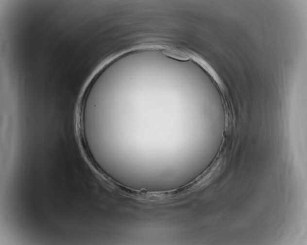 X0000100231101200805300720