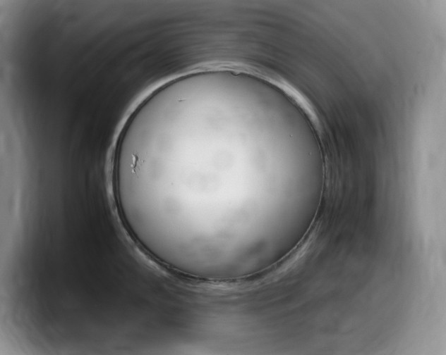 X0000100231102200805300720