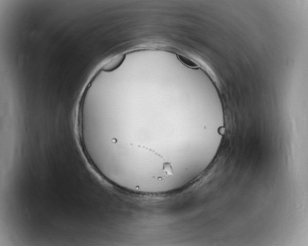 X0000100231103200805300720