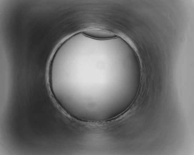 X0000100231104200805300720