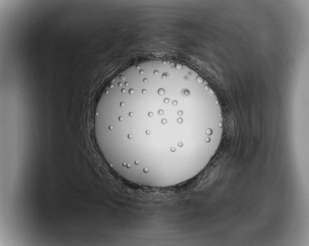 X0000100231105200805300719
