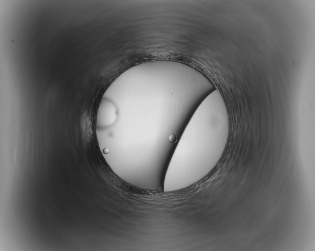 X0000100231106200805300720