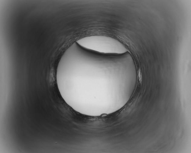 X0000100231107200805300720