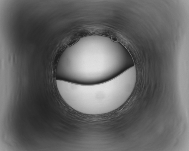 X0000100231108200805300720