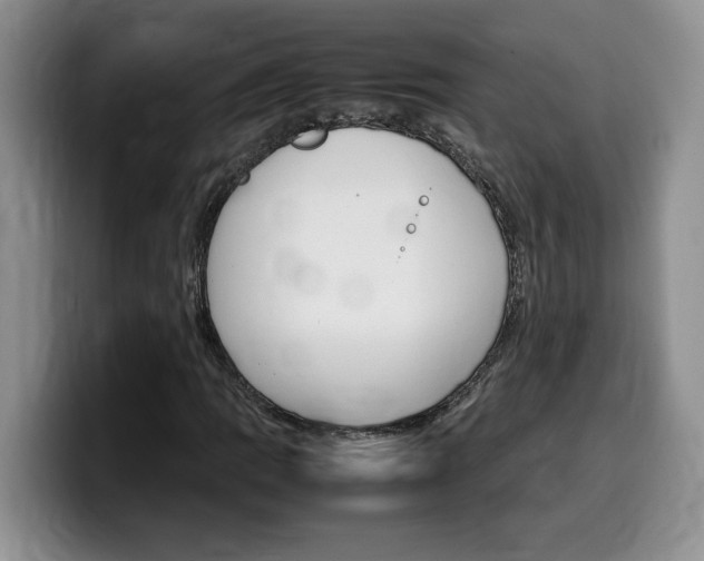 X0000100231109200805300720