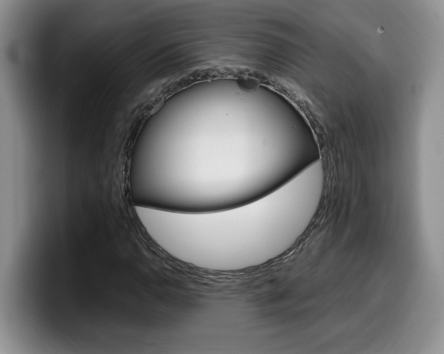 X0000100231110200805300720