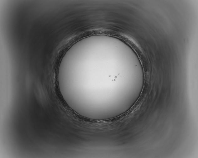 X0000100231111200805300720