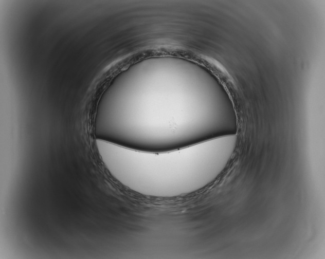X0000100231112200805300720