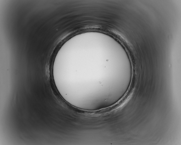 X0000100231113200805300720