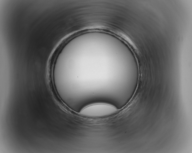 X0000100231116200805300720