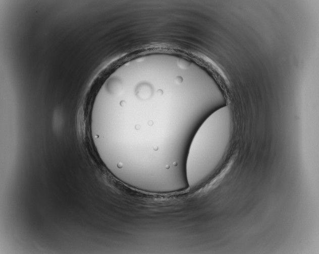 X0000100231117200805300720
