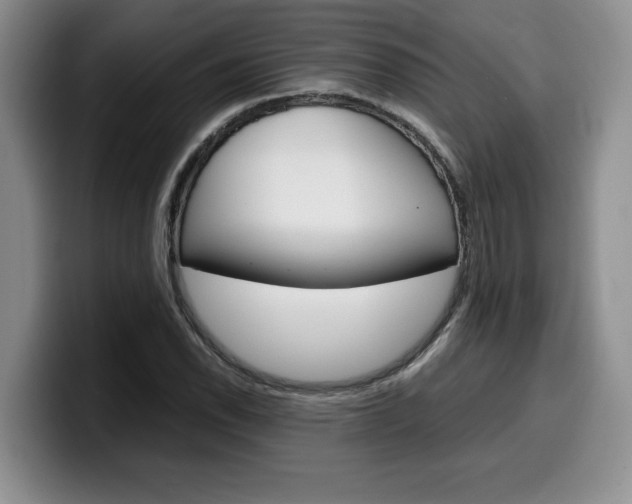 X0000100231118200805300720