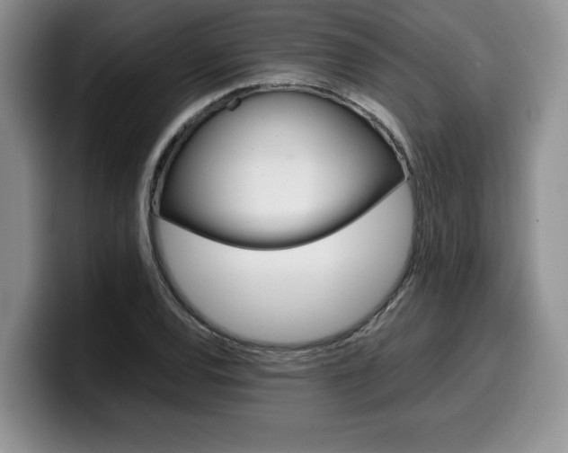 X0000100231120200805300720
