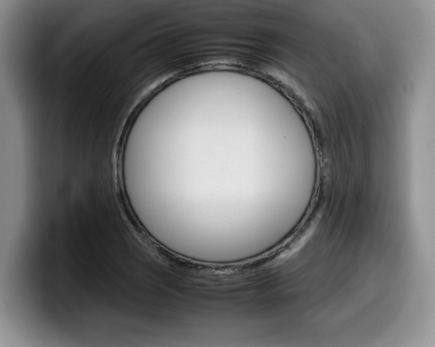 X0000100231121200805300720