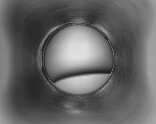 X0000100231123200805300720