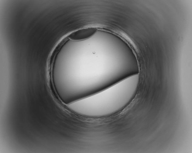 X0000100231124200805300720