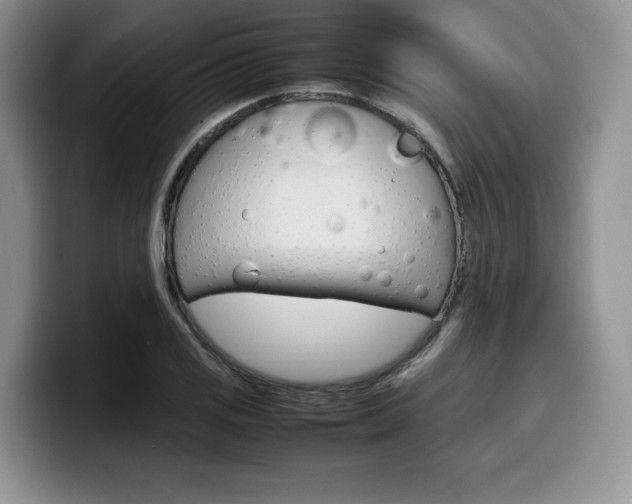 X0000100231125200805300720