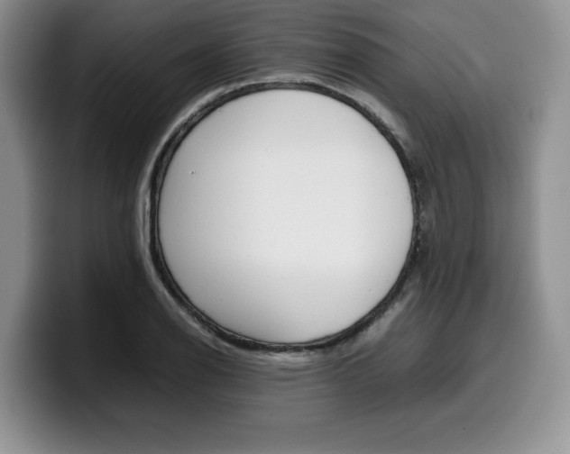 X0000100231126200805300720