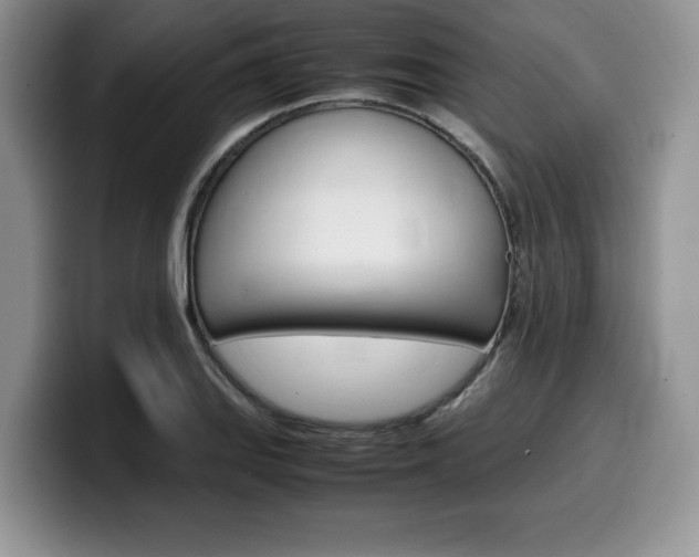 X0000100231127200805300720