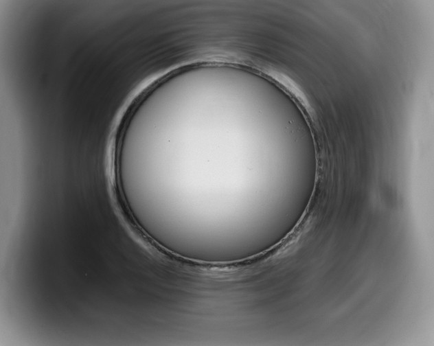 X0000100231128200805300720