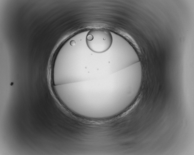 X0000100231130200805300720