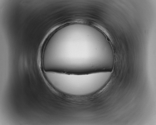 X0000100231131200805300720