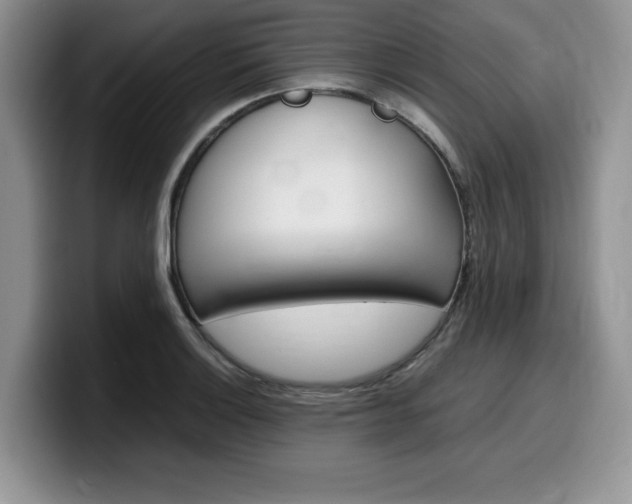 X0000100231132200805300720