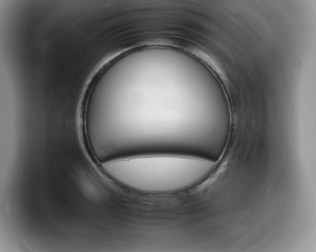 X0000100231133200805300720