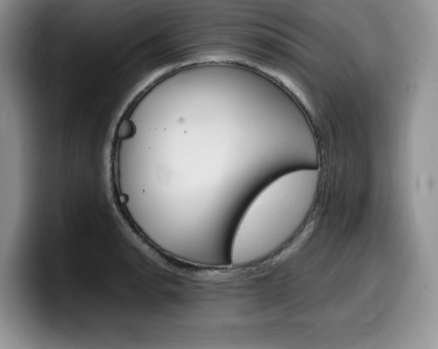 X0000100231134200805300720
