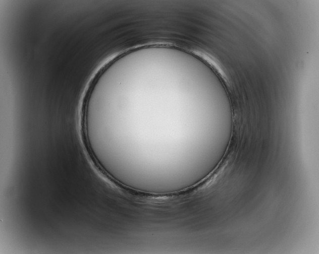 X0000100231135200805300720