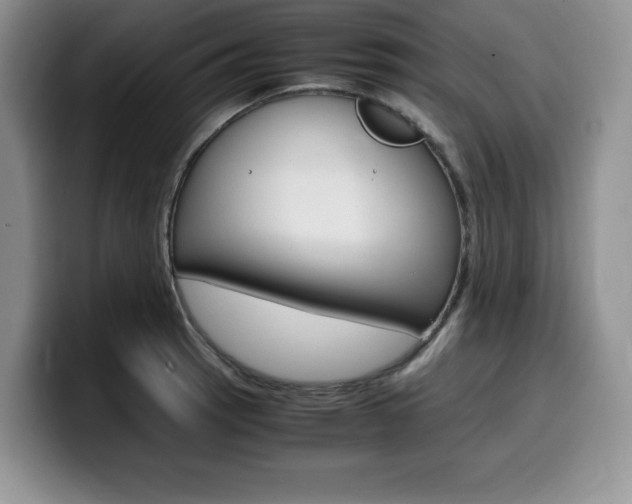 X0000100231137200805300720