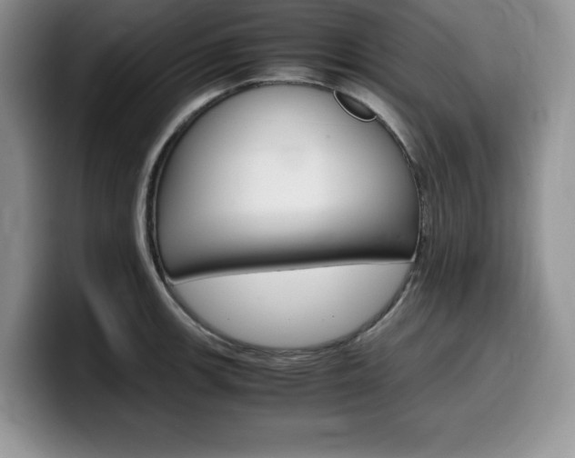 X0000100231139200805300720