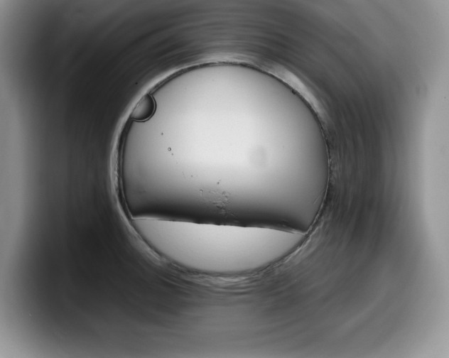 X0000100231140200805300720