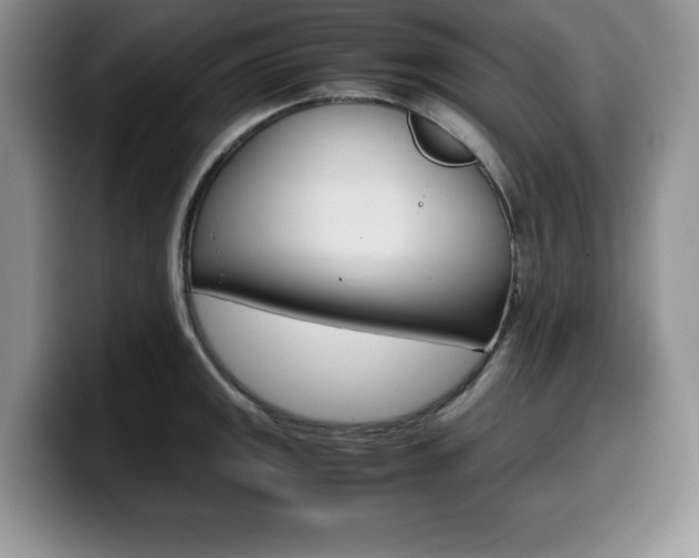 X0000100231141200805300720
