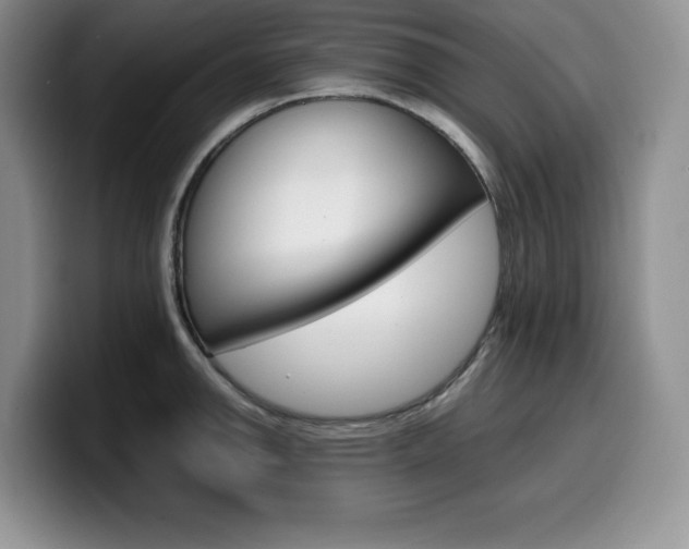 X0000100231142200805300720