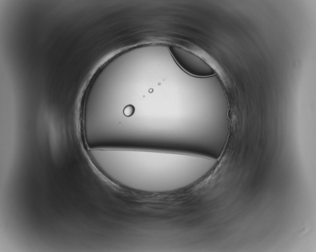 X0000100231143200805300720